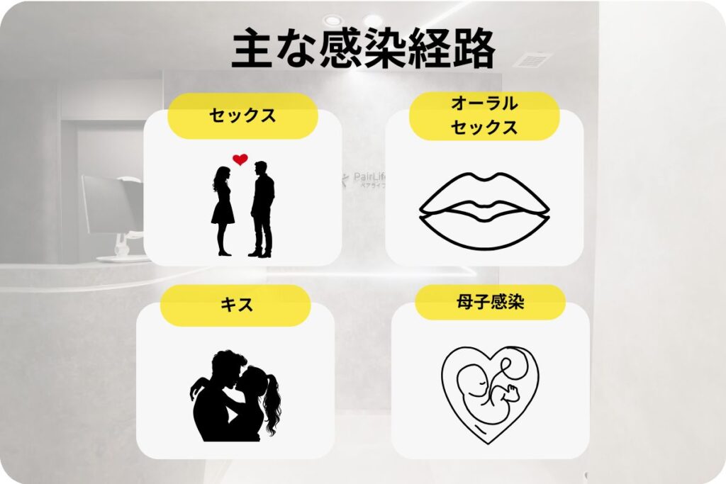 梅毒の感染経路