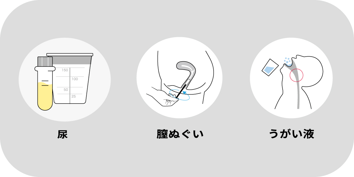 マイコプラズマ検査方法