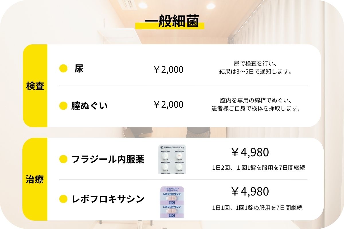 一般細菌