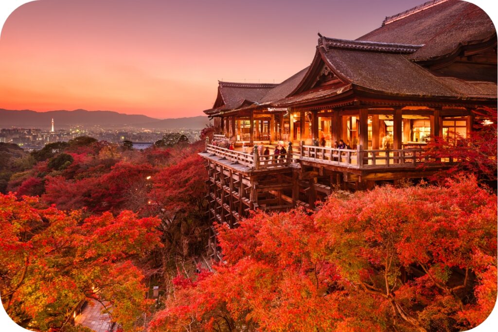 京都府・京都市の特徴