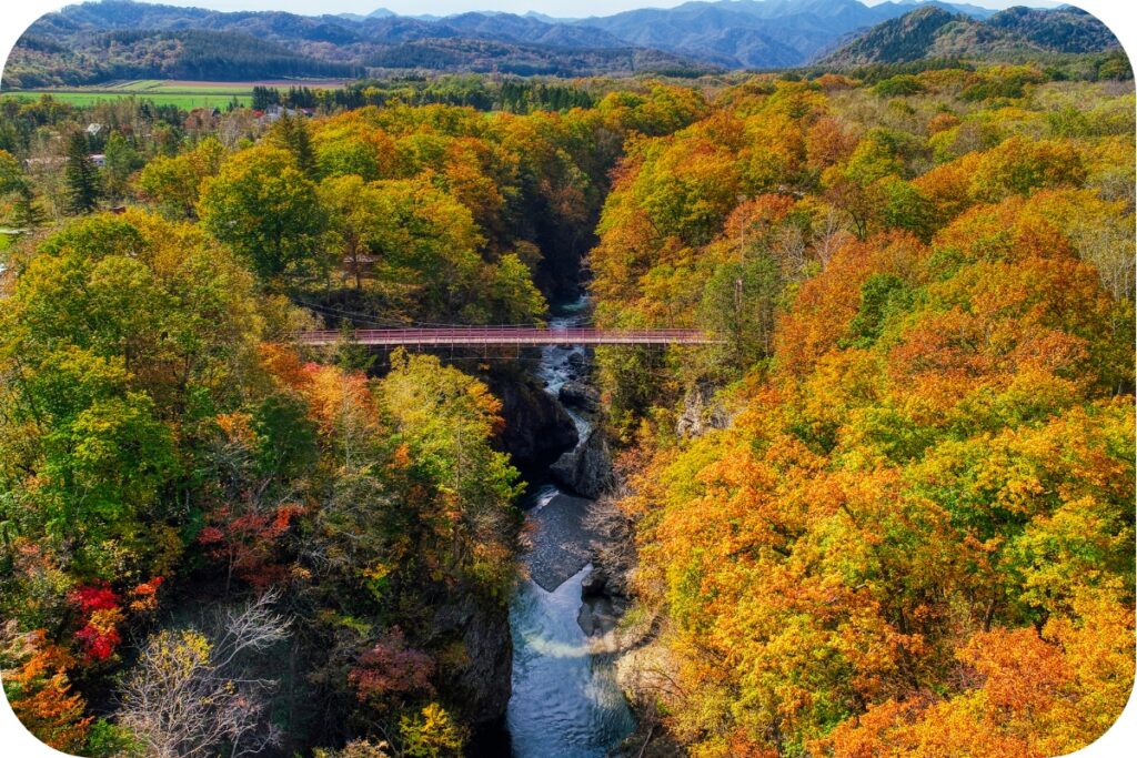 北海道・帯広市の特徴
