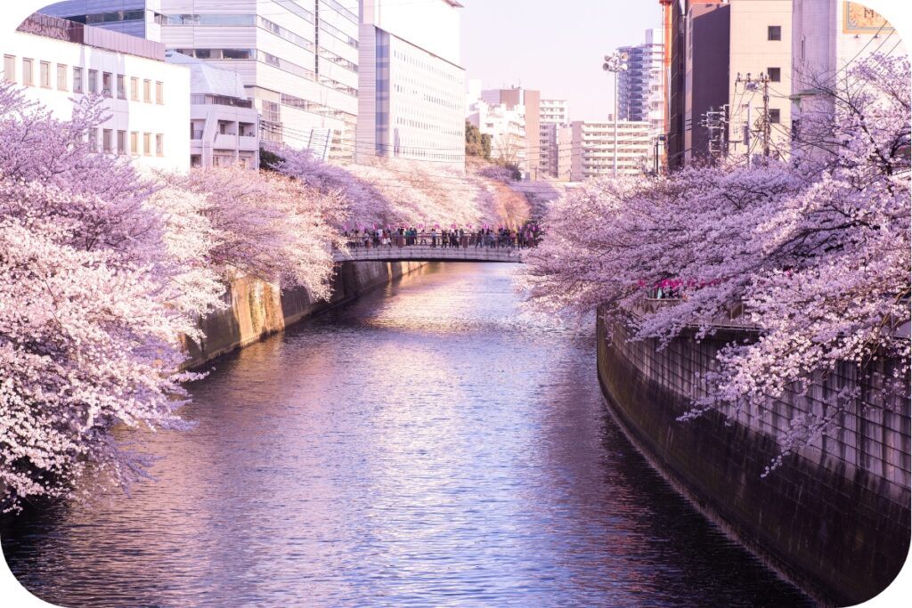 東京都・目黒区の特徴