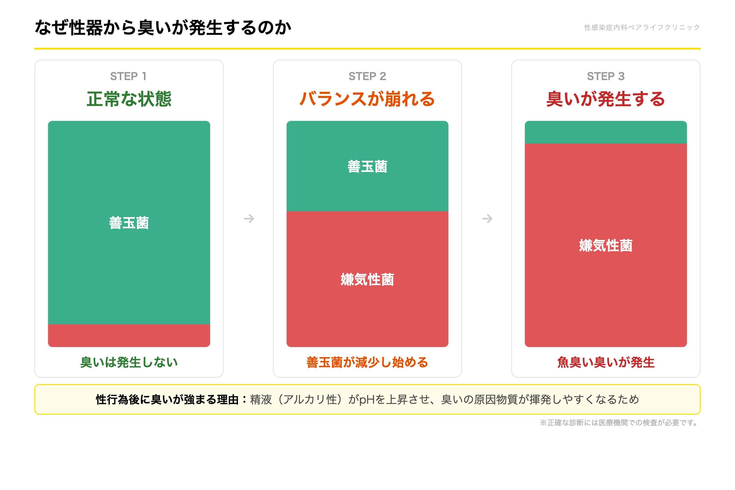 なぜ性器から臭いが発生するのか