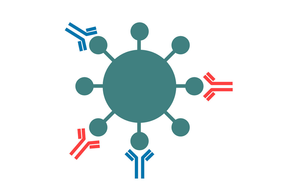 ドキシペップと耐性菌の関係