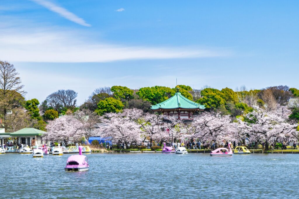 桜の咲く不忍池と弁天堂
